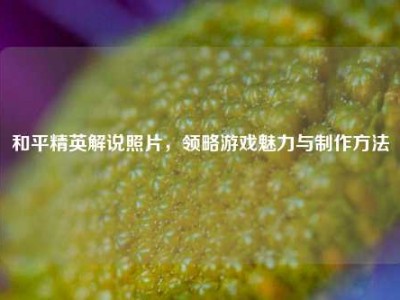 和平精英解说照片，领略游戏魅力与制作方法