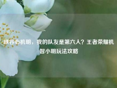 峡谷心机明，我的队友是第六人？王者荣耀机智小明玩法攻略