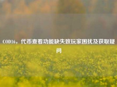 COD16，代币查看功能缺失致玩家困扰及获取疑问
