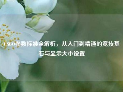CSGO参数标准全解析，从入门到精通的竞技基石与显示大小设置
