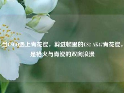 当CSGO遇上青花瓷，剪进帧里的CS2 AK47青花瓷，是枪火与青瓷的双向浪漫