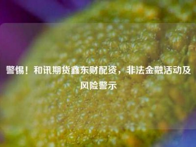 警惕！和讯期货鑫东财配资，非法金融活动及风险警示