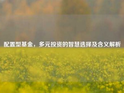 配置型基金，多元投资的智慧选择及含义解析