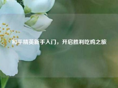 和平精英新手入门，开启胜利吃鸡之旅