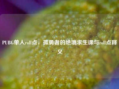 PUBG单人roll点，孤勇者的绝境求生课与roll点释义