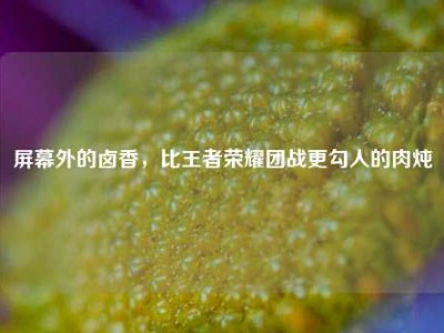 屏幕外的卤香，比王者荣耀团战更勾人的肉炖