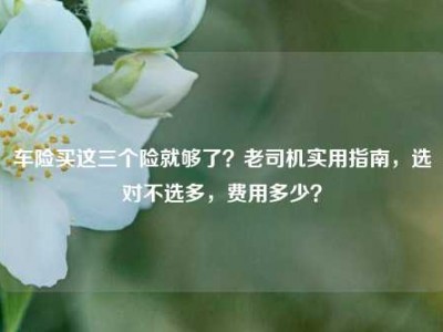 车险买这三个险就够了？老司机实用指南，选对不选多，费用多少？