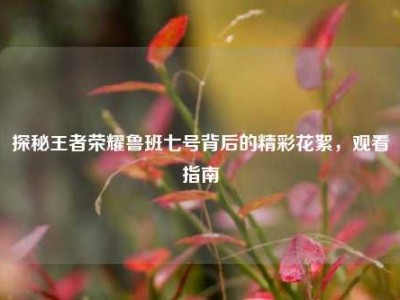 探秘王者荣耀鲁班七号背后的精彩花絮，观看指南