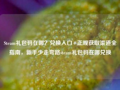 Steam礼包码在哪？兑换入口+正规获取渠道全指南，新手少走弯路steam礼包码在哪兑换