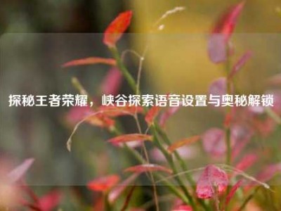 探秘王者荣耀，峡谷探索语音设置与奥秘解锁