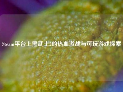 Steam平台上黑武士2的热血激战与可玩游戏探索