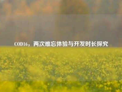 COD16，两次难忘体验与开发时长探究