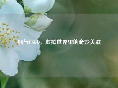 QQ与CSGO，虚拟世界里的奇妙关联