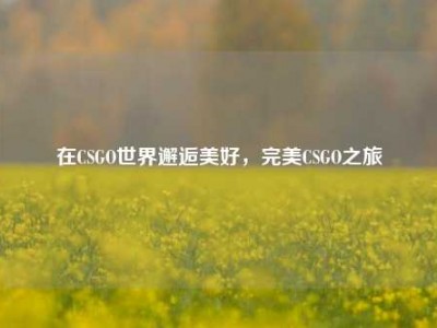 在CSGO世界邂逅美好，完美CSGO之旅