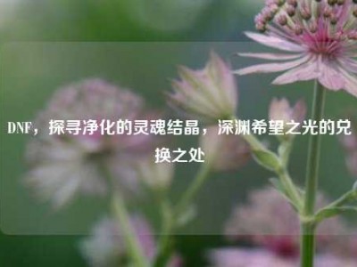 DNF，探寻净化的灵魂结晶，深渊希望之光的兑换之处
