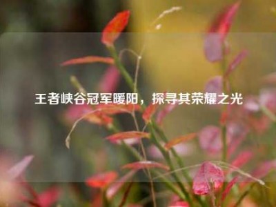 王者峡谷冠军暖阳，探寻其荣耀之光