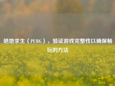 绝地求生（PUBG），验证游戏完整性以确保畅玩的方法
