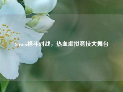 Steam格斗对战，热血虚拟竞技大舞台
