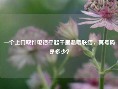 一个上门取件电话牵起千里温暖联结，其号码是多少？