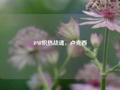 DNF炽热战魂，卢克西