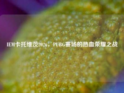 IEM卡托维茨2026，PUBG赛场的热血荣耀之战