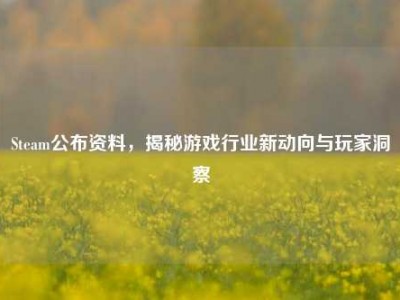 Steam公布资料，揭秘游戏行业新动向与玩家洞察
