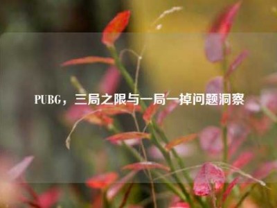 PUBG，三局之限与一局一掉问题洞察