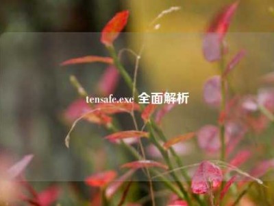 tensafe.exe 全面解析