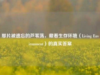 那片被遗忘的芦苇荡，藏着生存环境（Living Environment）的真实答案
