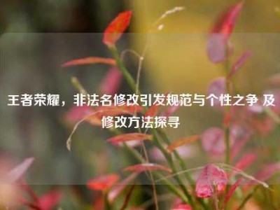王者荣耀，非法名修改引发规范与个性之争 及修改方法探寻
