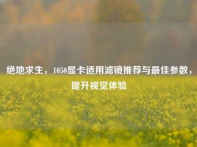 绝地求生，1050显卡适用滤镜推荐与最佳参数，提升视觉体验
