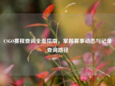 CSGO赛程查询全面指南，掌握赛事动态与记录查询路径