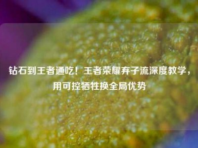 钻石到王者通吃！王者荣耀弃子流深度教学，用可控牺牲换全局优势