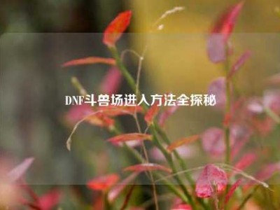 DNF斗兽场进入方法全探秘