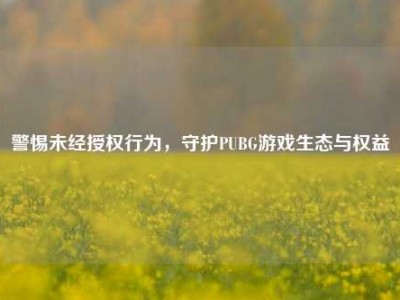 警惕未经授权行为，守护PUBG游戏生态与权益