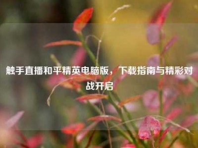 触手直播和平精英电脑版，下载指南与精彩对战开启