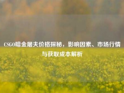 CSGO暗金屠夫价格探秘，影响因素、市场行情与获取成本解析