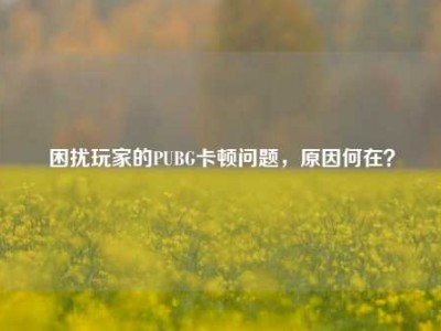困扰玩家的PUBG卡顿问题，原因何在？