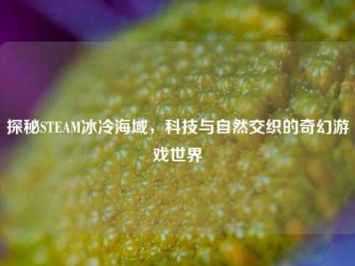 探秘STEAM冰冷海域，科技与自然交织的奇幻游戏世界