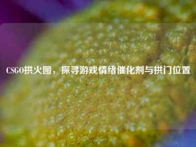 CSGO拱火图，探寻游戏情绪催化剂与拱门位置
