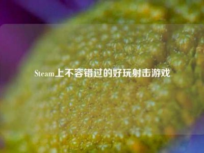 Steam上不容错过的好玩射击游戏