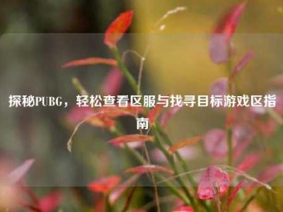 探秘PUBG，轻松查看区服与找寻目标游戏区指南