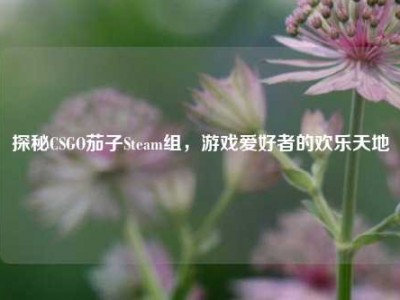 探秘CSGO茄子Steam组，游戏爱好者的欢乐天地