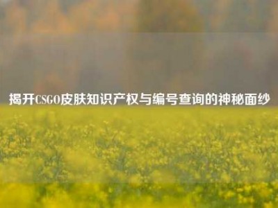揭开CSGO皮肤知识产权与编号查询的神秘面纱