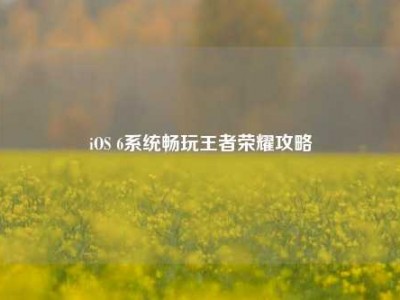iOS 6系统畅玩王者荣耀攻略