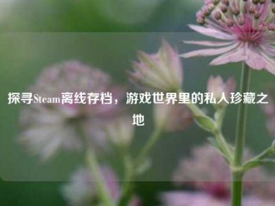 探寻Steam离线存档，游戏世界里的私人珍藏之地