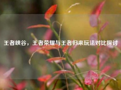 王者峡谷，王者荣耀与王者归来玩法对比探讨