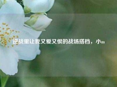 逆战里让我又爱又恨的战场搭档，小m