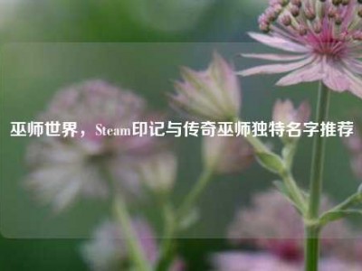 巫师世界，Steam印记与传奇巫师独特名字推荐