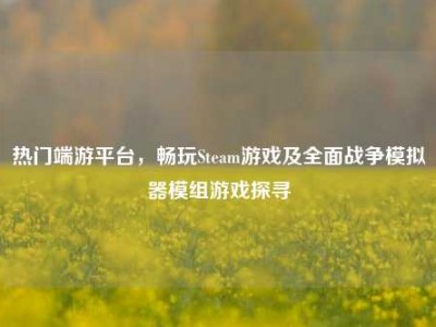 热门端游平台，畅玩Steam游戏及全面战争模拟器模组游戏探寻